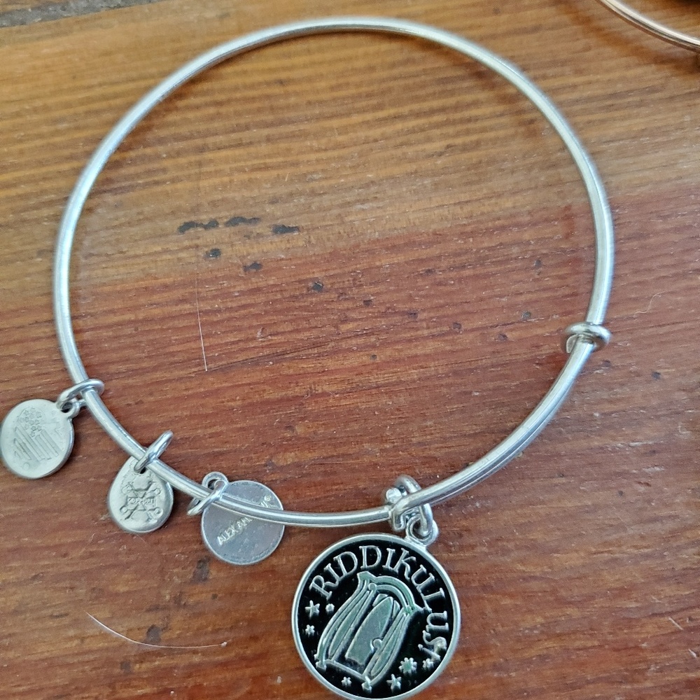 Alex and Ani Harry Potter Bangle